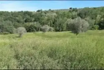 Rexer-Teramo-Terreno-agricolo-con-rustico-in-vendita-a-Teramo-ALTRO