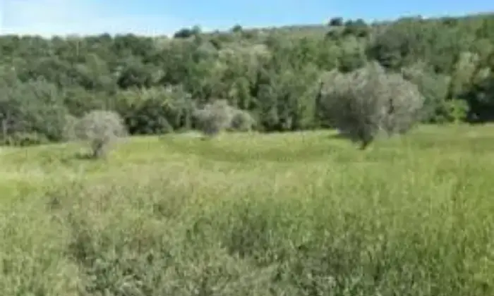 Rexer-Teramo-Terreno-agricolo-con-rustico-in-vendita-a-Teramo-ALTRO