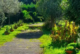 Rexer-Diamante-Vendesi-villa-unifamiliare-Contrada-Felicetto-a-Diamante-Giardino