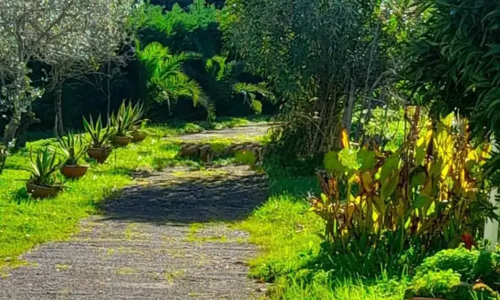 Rexer-Diamante-Vendesi-villa-unifamiliare-Contrada-Felicetto-a-Diamante-Giardino