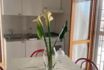 Rexer-Scalea-Appartamento-in-vendita-in-via-G-Oliva-a-Scalea-Cucina