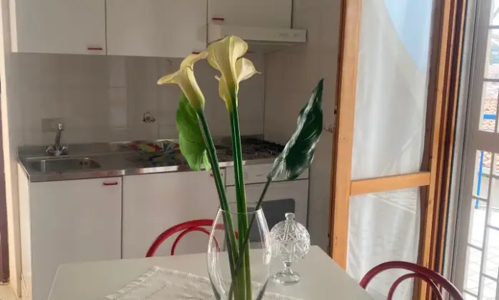 Rexer-Scalea-Appartamento-in-vendita-in-via-G-Oliva-a-Scalea-Cucina