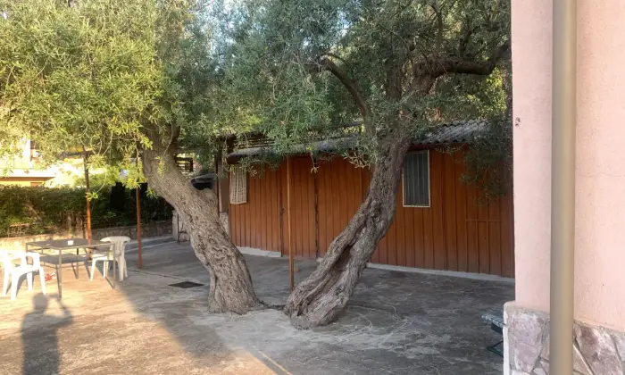 Rexer-Termini-Imerese-VILLA-a-KM-dal-mare-con-mq-di-terreno-Altro