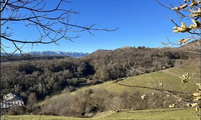 Rexer-Erbezzo-Appartamento-in-Contrada-Manarini-Erbezzo-Giardino