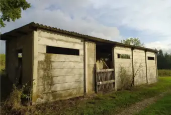 Rexer-Empoli-Propriet-rustica-in-vendita-in-via-di-Castagneto-ad-Empoli-Giardino