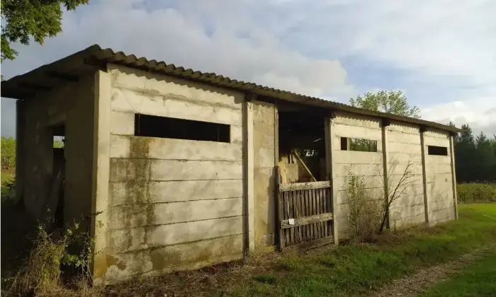 Rexer-Empoli-Propriet-rustica-in-vendita-in-via-di-Castagneto-ad-Empoli-Giardino