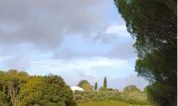 Rexer-Empoli-Propriet-rustica-in-vendita-in-via-di-Castagneto-ad-Empoli-Terrazzo