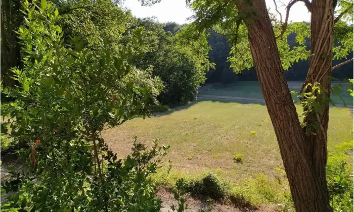 Rexer-Empoli-Propriet-rustica-in-vendita-in-via-di-Castagneto-ad-Empoli-Terrazzo