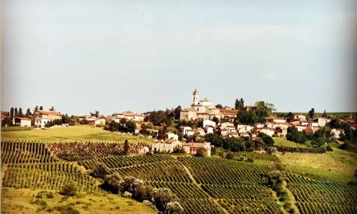 Rexer-Ziano-Piacentino-Condominio-di-appartamenti-colline-Val-Tidone-Altro