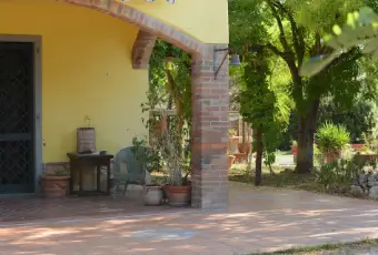 Rexer-Castelfiorentino-Porzione-di-casa-colonica-immersa-nel-verde-della-toscana-Giardino