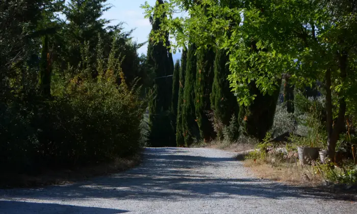 Rexer-Castelfiorentino-Porzione-di-casa-colonica-immersa-nel-verde-della-toscana-Terrazzo