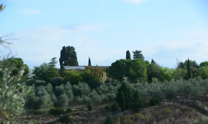 Rexer-Castelfiorentino-Porzione-di-casa-colonica-immersa-nel-verde-della-toscana-Terrazzo