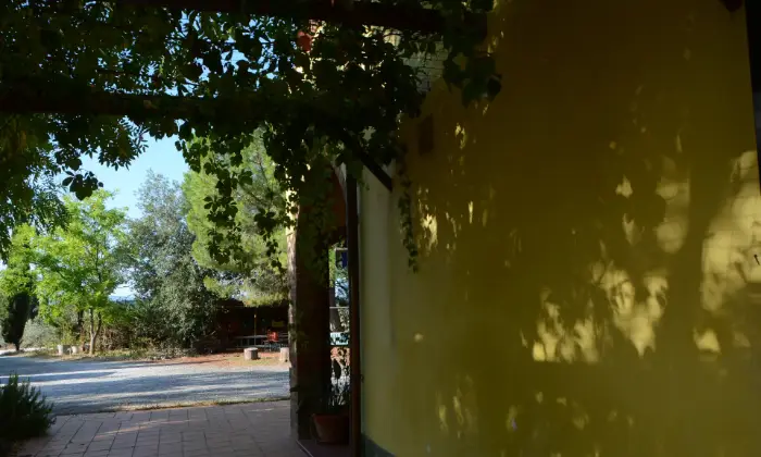 Rexer-Castelfiorentino-Porzione-di-casa-colonica-immersa-nel-verde-della-toscana-Terrazzo