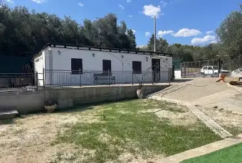 Rexer-Pisticci-Vendita-casa-singola-Giardino