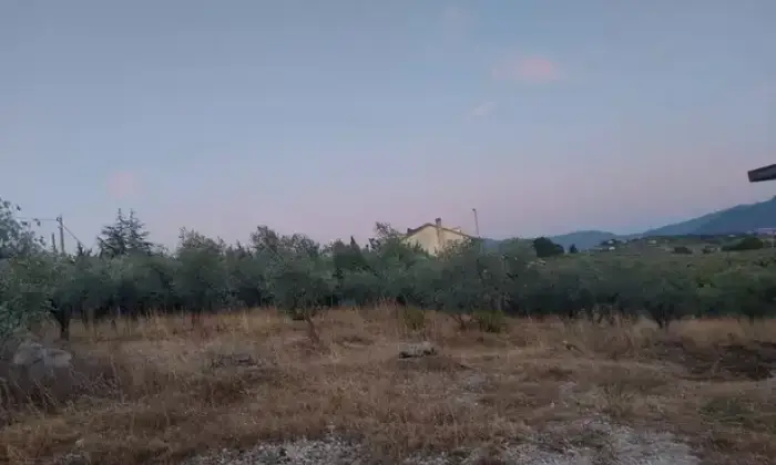 Rexer-Poggio-Nativo-Vendesi-rustico-con-terreno-edificabile-a-poggio-nativo-Terrazzo
