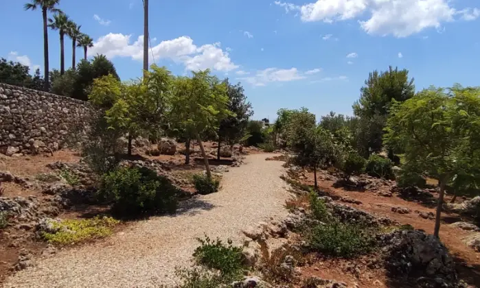 Rexer-Morciano-di-Leuca-VILLA-CON-VISTA-MARE-PANORAMICA-E-GRANDE-GIARDINO-Altro