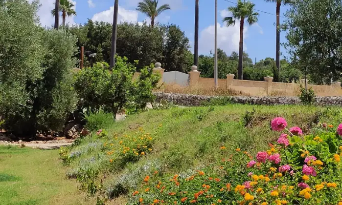 Rexer-Morciano-di-Leuca-VILLA-CON-VISTA-MARE-PANORAMICA-E-GRANDE-GIARDINO-Altro