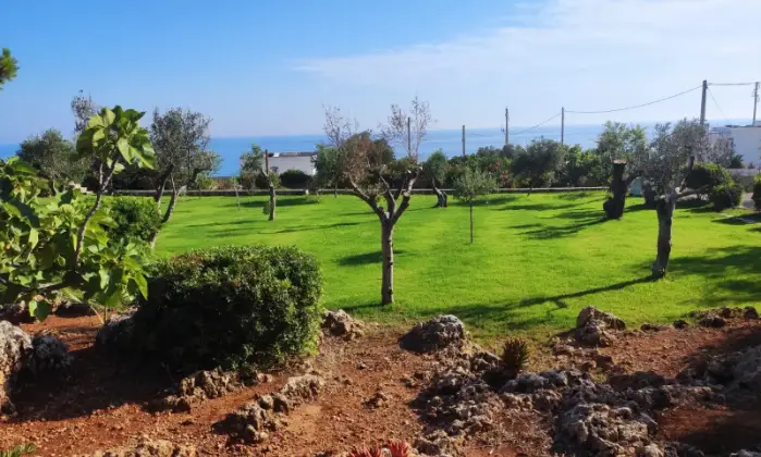 Rexer-Morciano-di-Leuca-VILLA-CON-VISTA-MARE-PANORAMICA-E-GRANDE-GIARDINO-Altro