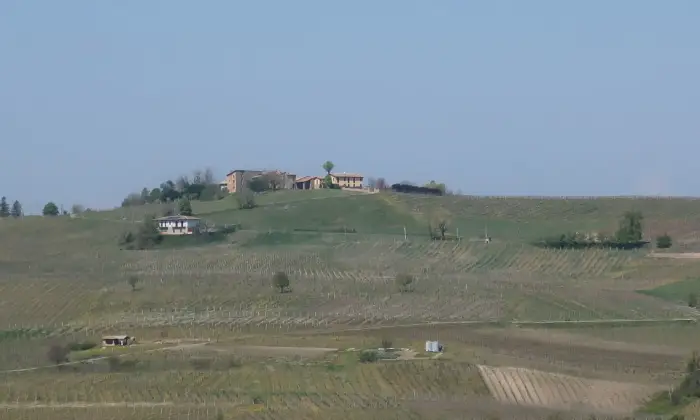 Rexer-Borgonovo-Val-Tidone-Villa-singola-Altro