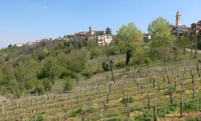 Rexer-Borgonovo-Val-Tidone-Villa-singola-Altro