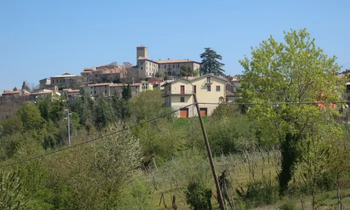 Rexer-Borgonovo-Val-Tidone-Villa-singola-Altro
