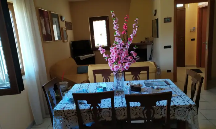 Rexer-Cerreto-Sannita-Villa-nel-verde-Altro