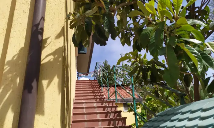 Rexer-Cerreto-Sannita-Villa-nel-verde-Terrazzo