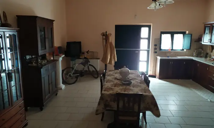 Rexer-Cerreto-Sannita-Villa-nel-verde-Altro