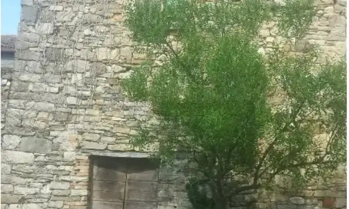 Rexer-Pennabilli-Rustico-in-vendita-in-Localit-Casa-Fanchi-a-Pennabilli-Giardino