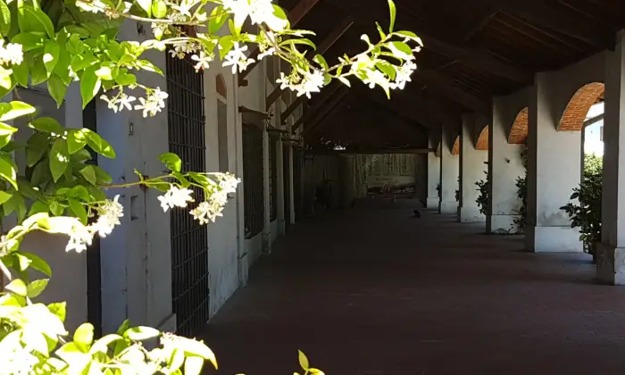 Rexer-Ceretto-Lomellina-CASCINA-RISTRUTTURATA-IMMERSA-NEL-VERDE-DELLA-CAMPAGNA-LOMELLINA-Ingresso