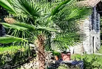 Rexer-Campino-Cascina-in-vendita-in-via-Agli-Orti-Stresa-Categoria-catastale-C-Giardino