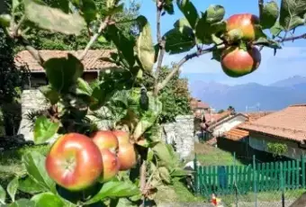 Rexer-Campino-Cascina-in-vendita-in-via-Agli-Orti-Stresa-Categoria-catastale-C-Giardino