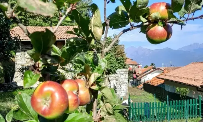 Rexer-Campino-Cascina-in-vendita-in-via-Agli-Orti-Stresa-Categoria-catastale-C-Altro