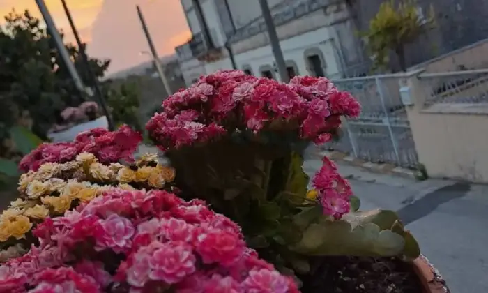 Rexer-Noto-Casa-storica-via-San-Corrado-San-Corrado-Di-Fuori-Noto-Terrazzo