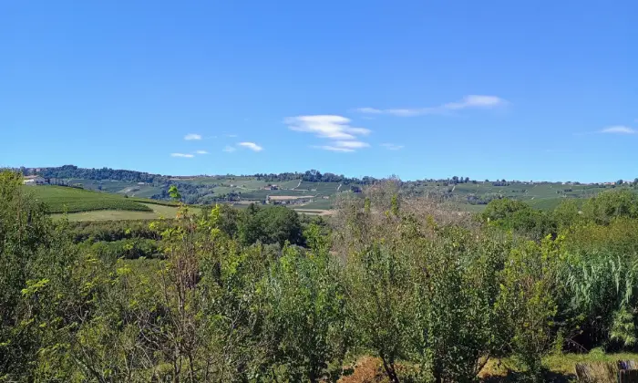 Rexer-La-Morra-Villa-con-piscina-nelle-Langhe-adibita-a-BB-Altro