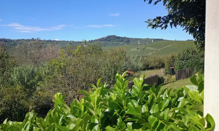 Rexer-La-Morra-Villa-con-piscina-nelle-Langhe-adibita-a-BB-Altro