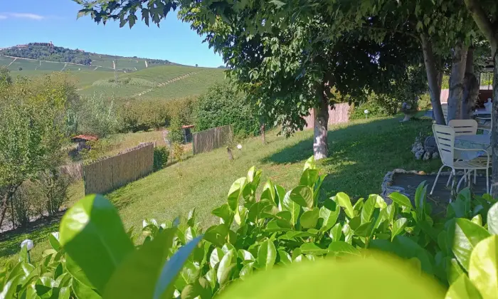 Rexer-La-Morra-Villa-con-piscina-nelle-Langhe-adibita-a-BB-Altro