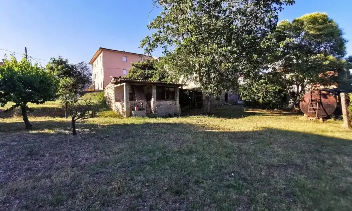 Rexer-Torgiano-Rustico-in-vendita-in-via-via-Erasmo-Trascurati-a-Torgiano-Giardino