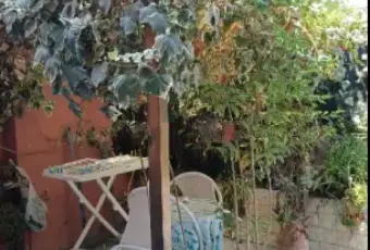 Rexer-Catania-Appartamento-in-Via-Adelia-Catania-Giardino
