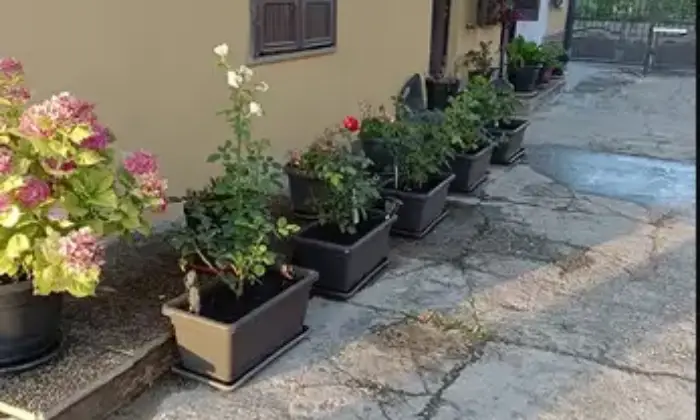 Rexer-Verrua-Po-Casa-appartamenti-Terrazzo