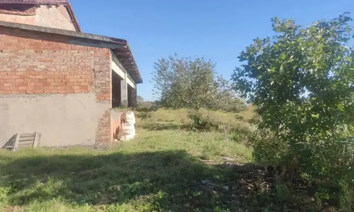 Rexer-Ragazzola-Cascina-in-vendita-in-Strada-Spinelli-a-Roccabianca-Altro
