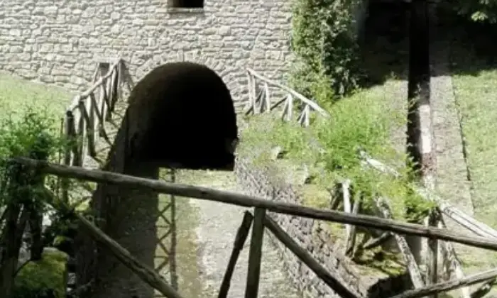 Rexer-Arsita-Mulino-ad-acqua-di-epoca-medioevale-con-annesso-casa-colonica-Giardino
