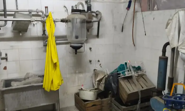 Rexer-San-Martino-in-Rio-Vendesi-casale-in-via-Gazzata-a-San-Martino-in-Rio-Altro