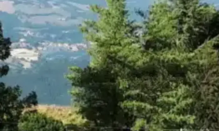 Rexer-Bolognola-Bilocale-in-vendita-in-strada-Provinciale-Sarnano-Terrazzo