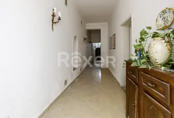 Rexer-Apiro-Terratetto-con-garage-da-ristrutturare-ad-Apiro-Altro