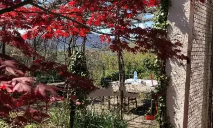 Rexer-Adrara-San-Martino-Casale-in-vendita-in-via-BrugaliAdrara-San-Martino-Altro
