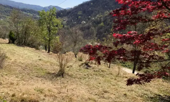 Rexer-Adrara-San-Martino-Casale-in-vendita-in-via-BrugaliAdrara-San-Martino-Altro