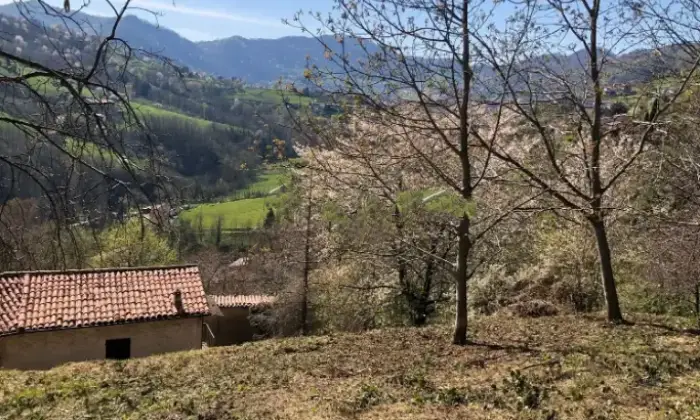 Rexer-Adrara-San-Martino-Casale-in-vendita-in-via-BrugaliAdrara-San-Martino-Altro