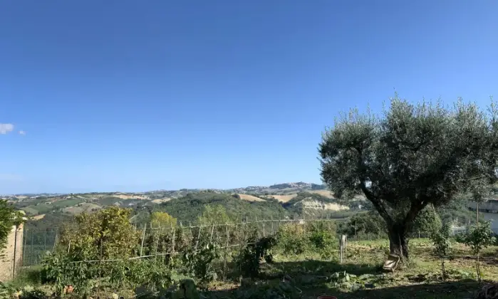 Rexer-Montappone-Casa-indipendente-in-vendita-Terrazzo
