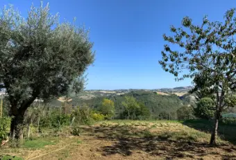 Rexer-Montappone-Casa-indipendente-in-vendita-Terrazzo